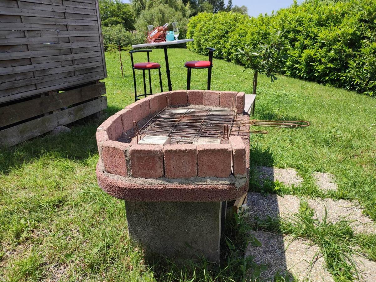 cosy occitan villa renové independante terrasse jardin bien située Carcasona Exterior foto